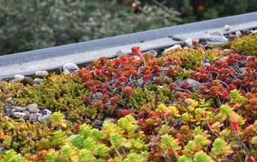 the cost of Ladys Green green roof installation