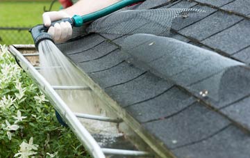 Ladys Green gutter cleaning costs