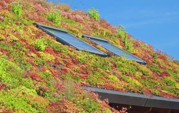 Ladys Green living roof systems