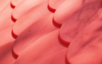 Ladys Green plastic roof costs