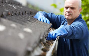 cleaning and inspecting Ladys Green roofs