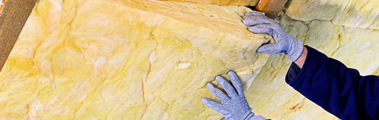 quotes for Ladys Green roof insulation