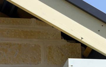 soffit repair Ladys Green