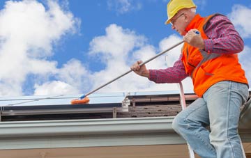 Ladys Green soft wash roof cleaning