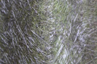 Ladys Green fibreglass roof work