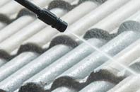 rated Ladys Green roof cleaning companies